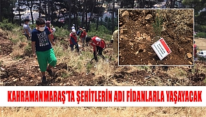 Kahramanmaraş’ta şehitlerin adı fidanlarla yaşayacak 