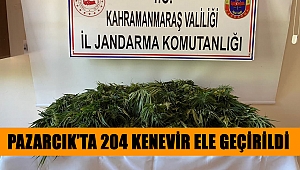 Pazarcık’ta 204 kenevir ele geçirildi 