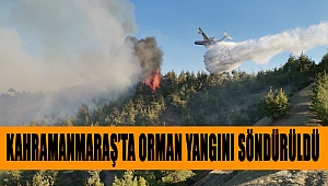 Kahramanmaraş’ta orman yangını söndürüldü 