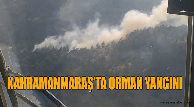 Kahramanmaraş’ta orman yangını