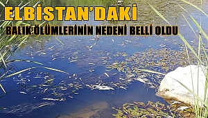 Elbistan’da balık ölümlerinin nedeni belli oldu