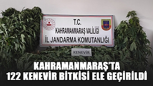 Kahramanmaraş’ta 122 kenevir bitkisi ele geçirildi 