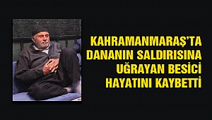 Kahramanmaraş'ta Dananın Saldırısına Uğrayan Besici Hayatını Kaybetti