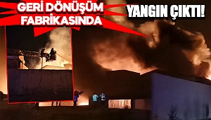 Kahramanmaraş'ta geri dönüşüm tesisinde yangın 
