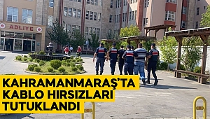 Kahramanmaraş'ta kablo hırsızları tutuklandı 