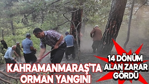 Kahramanmaraş’ta orman yangını: 14 dönüm alan zarar gördü 