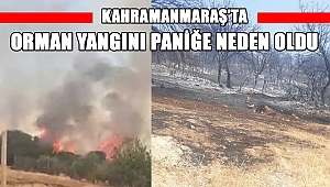 Kahramanmaraş'ta orman yangını paniğe neden oldu 
