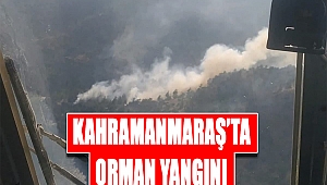 Kahramanmaraş’ta orman yangını 