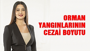 Orman Yangınlarının Cezai Boyutu