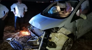 Kahramanmaraş’ta hafif ticari araç koyun sürüsüne çarptı