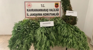 Kahramanmaraş’ta uyuşturucu operasyonu: 1 gözaltı 