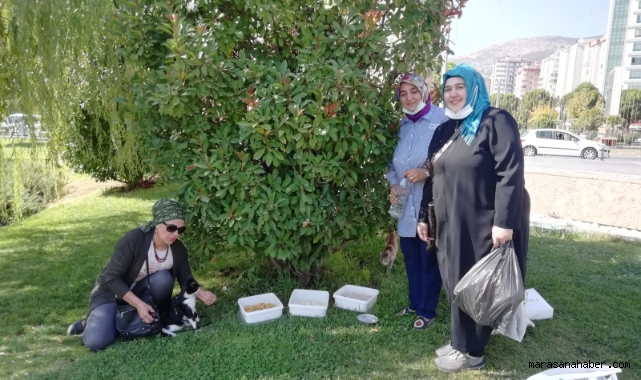 Deva Partisi Sokak Hayvanlarına Mama ve Su Bıraktı
