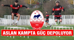 Aslan Kampta Güç Depoluyor