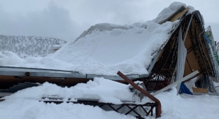 Hayvan yemlerini almak için yardım istiyor