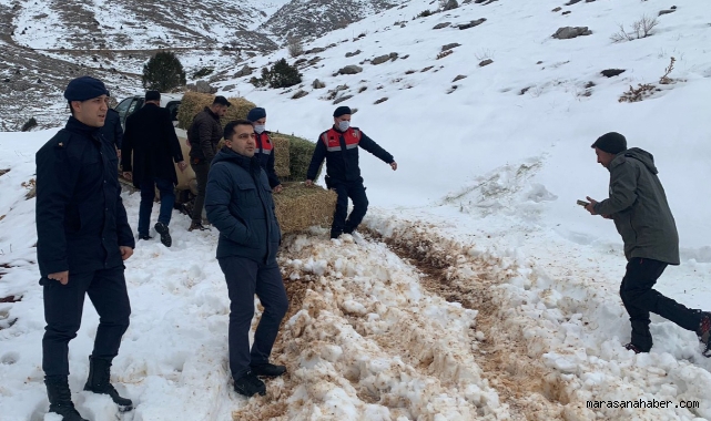 Jandarma doğa hayvanlarını unutmadı