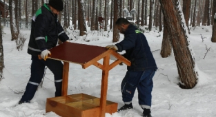 Kahramanmaraş Büyükşehir’den Can Dostlara Onlarca Yeni Yuva