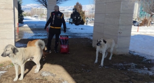 Kahramanmaraş'ta polis sokak hayvanlarını yalnız bırakmadı