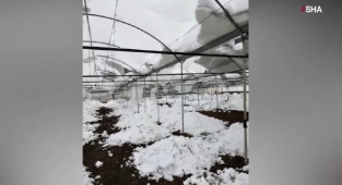 Kahramanmaraş’ta yoğun kar seraları vurdu