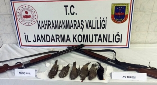 Nurhak’ta kaçak ardıç kuşu avcılarına ceza