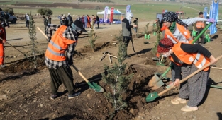Kahramanmaraş’ta ‘Tayvan Dostluk Hatıra Ormanı’ oluşturuldu 