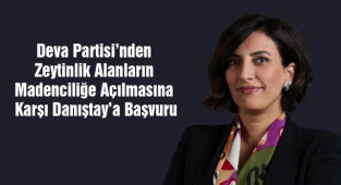Deva Partisi’nden Zeytinlik Alanların Madenciliğe Açılmasına Karşı Danıştay’a Başvuru