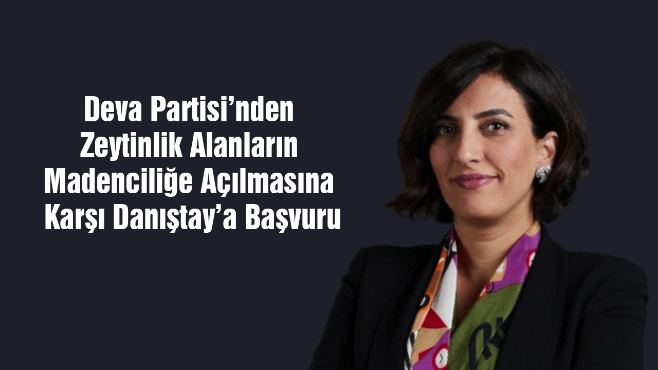 Deva Partisi’nden Zeytinlik Alanların Madenciliğe Açılmasına Karşı Danıştay’a Başvuru