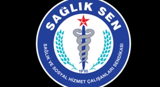 Sağlık-Sen’den Sağlıkta İnsan Gücü İstihdamı ve Hekimlerin Sorunları Raporu