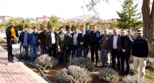 Afşin’deki Lavanta serüveninin başladığı yer: Rabia Parkı! 