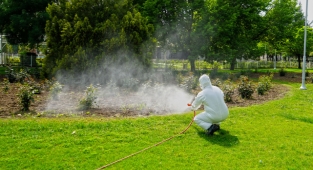Büyükşehir Zararlılarla Mücadele Mesaisinde