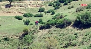 Kahramanmaraş’ta hükümlü zeytinlik alanda yakalandı