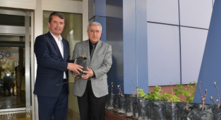 KSÜ ve Türkoğlu Belediyesi İşbirliğiyle Labrusca Üzüm Yetiştiriciliği Çalışmalarına Başlandı