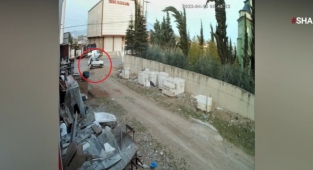 Sosyal medyadaki tepkiler üzerine çalınan köpek bulundu