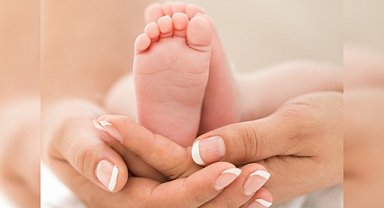 Geçen yıl 1 milyon 79 bin 842 bebek dünyaya geldi