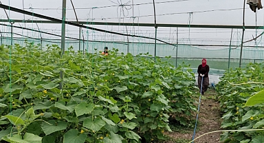 Kahramanmaraş’ta seraları zarar gören çiftçilere 18 milyon destek