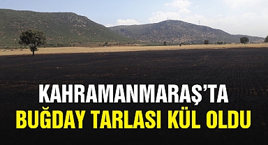Kahramanmaraş’ta buğday tarlası kül oldu