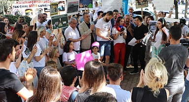 Kahramanmaraş’ta hayvan severlerden tepki