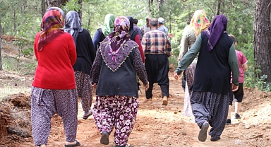 Kahramanmaraş’ta orman yolu mahalleyi karıştırdı