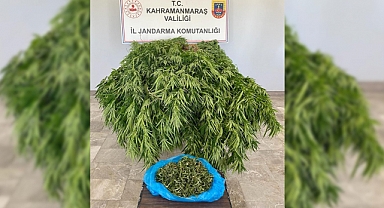 Afşin’de uyuşturucu operasyonu: 1 gözaltı