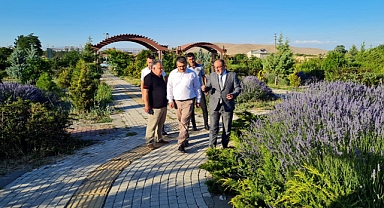 Afşin’in Mor Bereketi