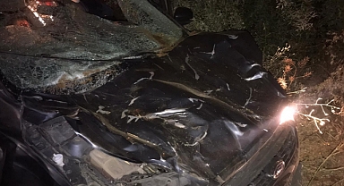 Kahramanmaraş’ta feci kaza: 1 kişi öldü öldü 3 inek telef oldu