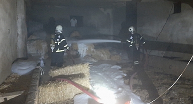 Kahramanmaraş’ta samanlık yangını korkuttu