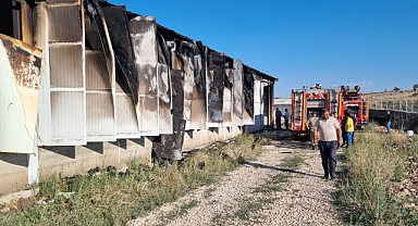 Kahramanmaraş’ta yangında 60 bin tavuk telef oldu