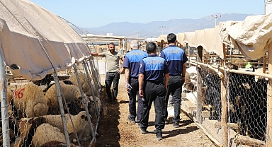 Zabıta Ekiplerinden Kurban Satış Yerlerinde Denetim