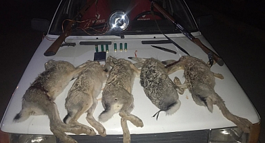 Afşin’de yasa dışı avcılara ceza yağdı