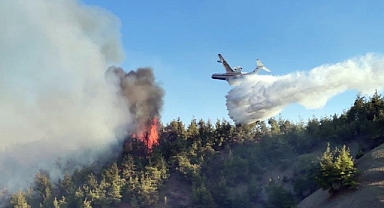 Kahramanmaraş’ta orman yangını