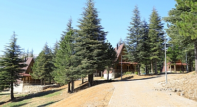 Yalnız Ardıç Açılışa Gün Sayıyor