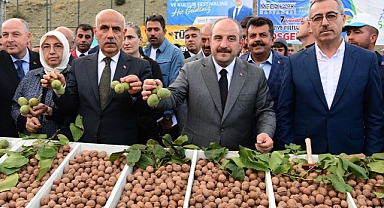 Güngör: Çağlayancerit Cevizi Markalaşacak, Çiftçimiz Kalkınacak
