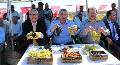 Üzüm Deposu Pazarcık’ta Bağ Bozum Şenliği Düzenlendi
