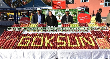 8. Göksun Elma Festivali Başladı