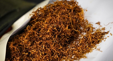 Türkiye’nin beş yıllık tütün ihracatı 4 milyar doları aştı